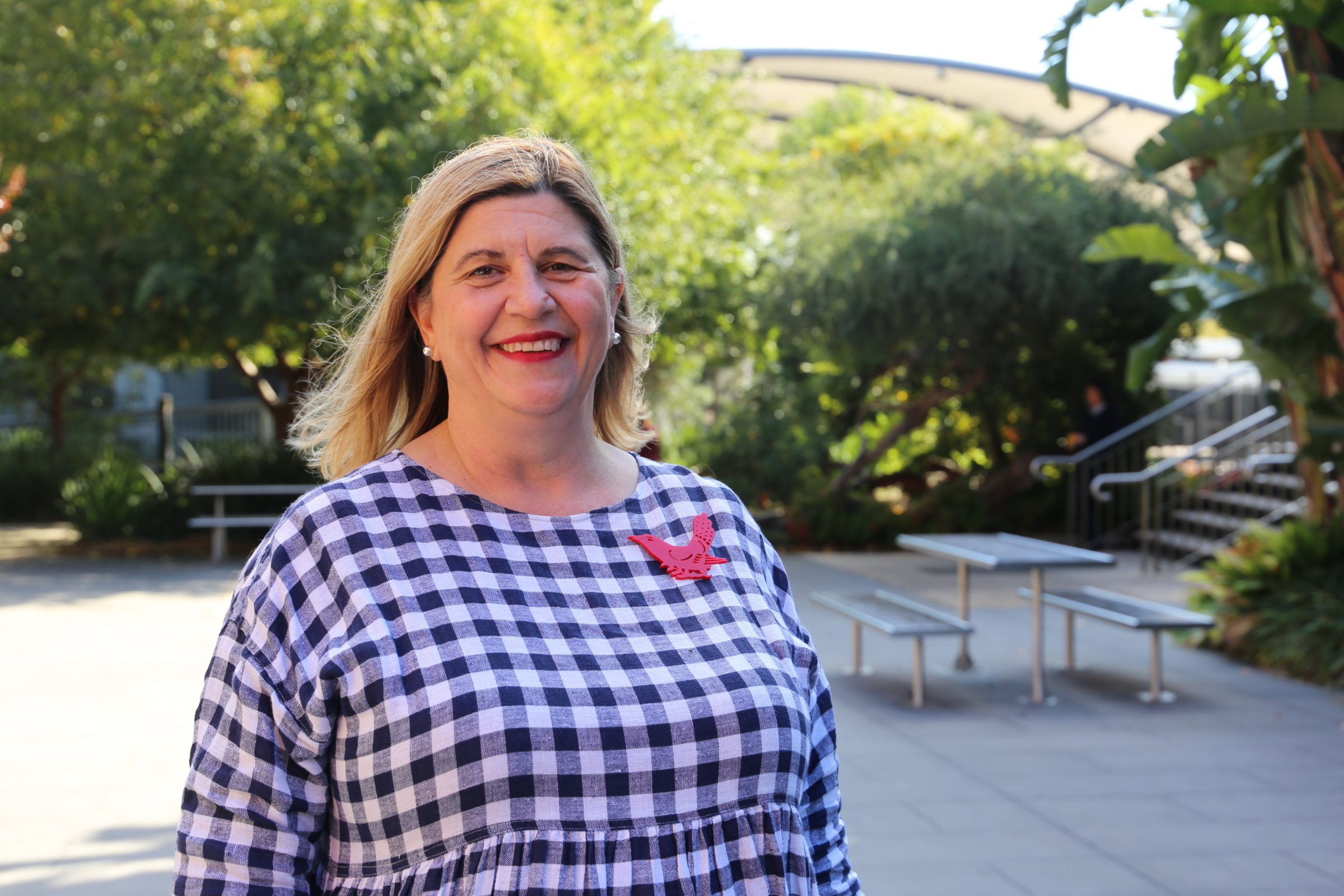 Why should you study languages in Senior School?