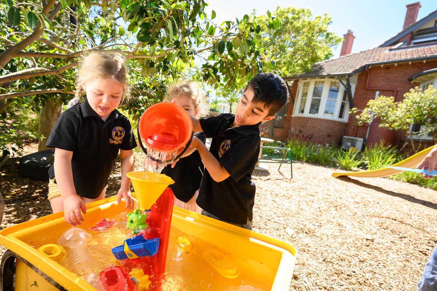 Early Learning
