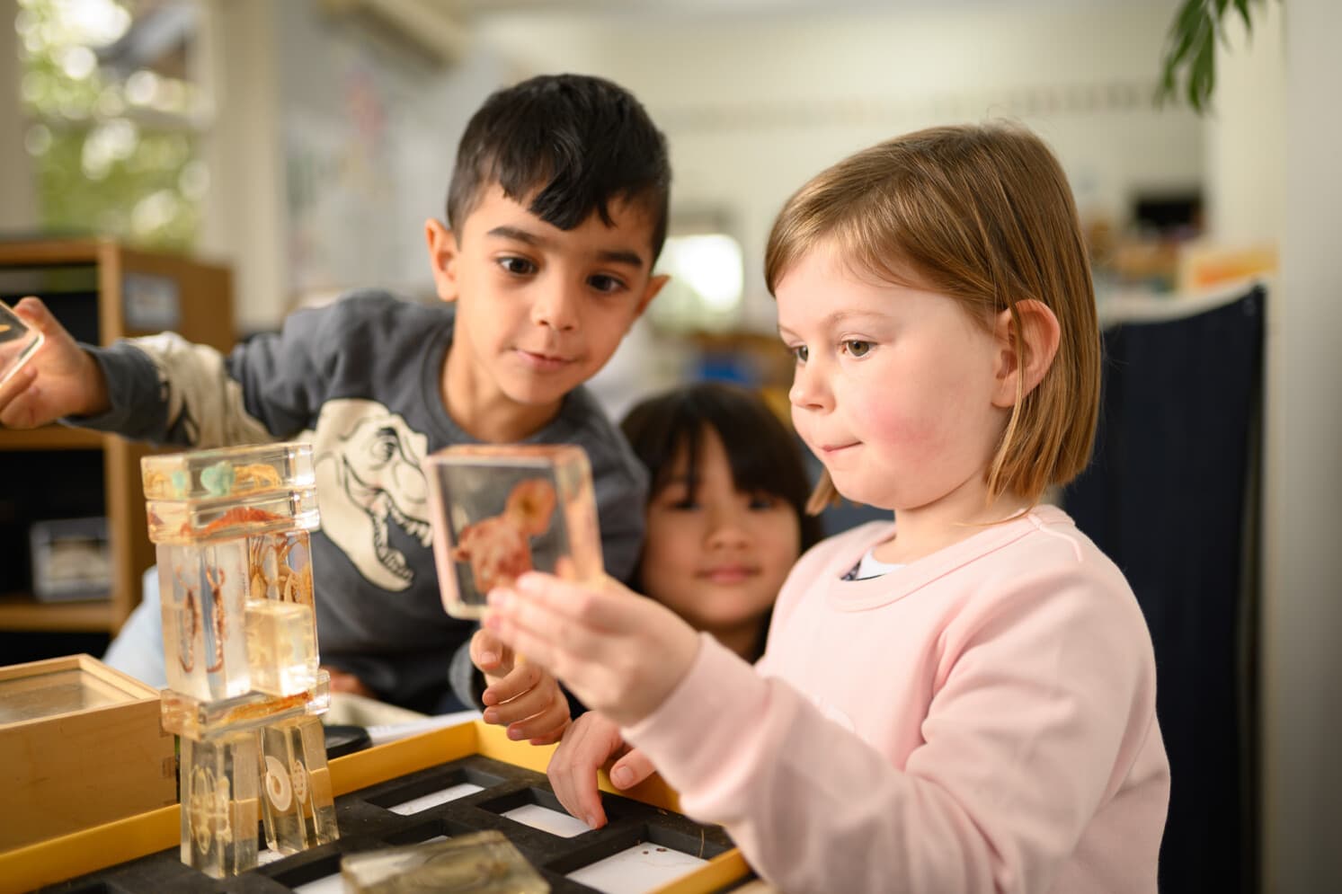 Learning in ELC