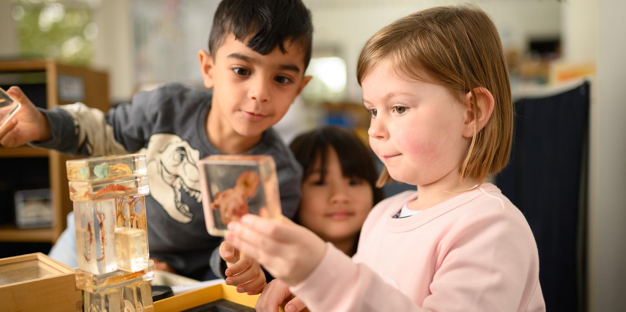 Learning in ELC