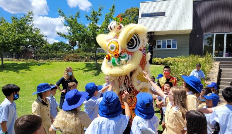Community lunar year