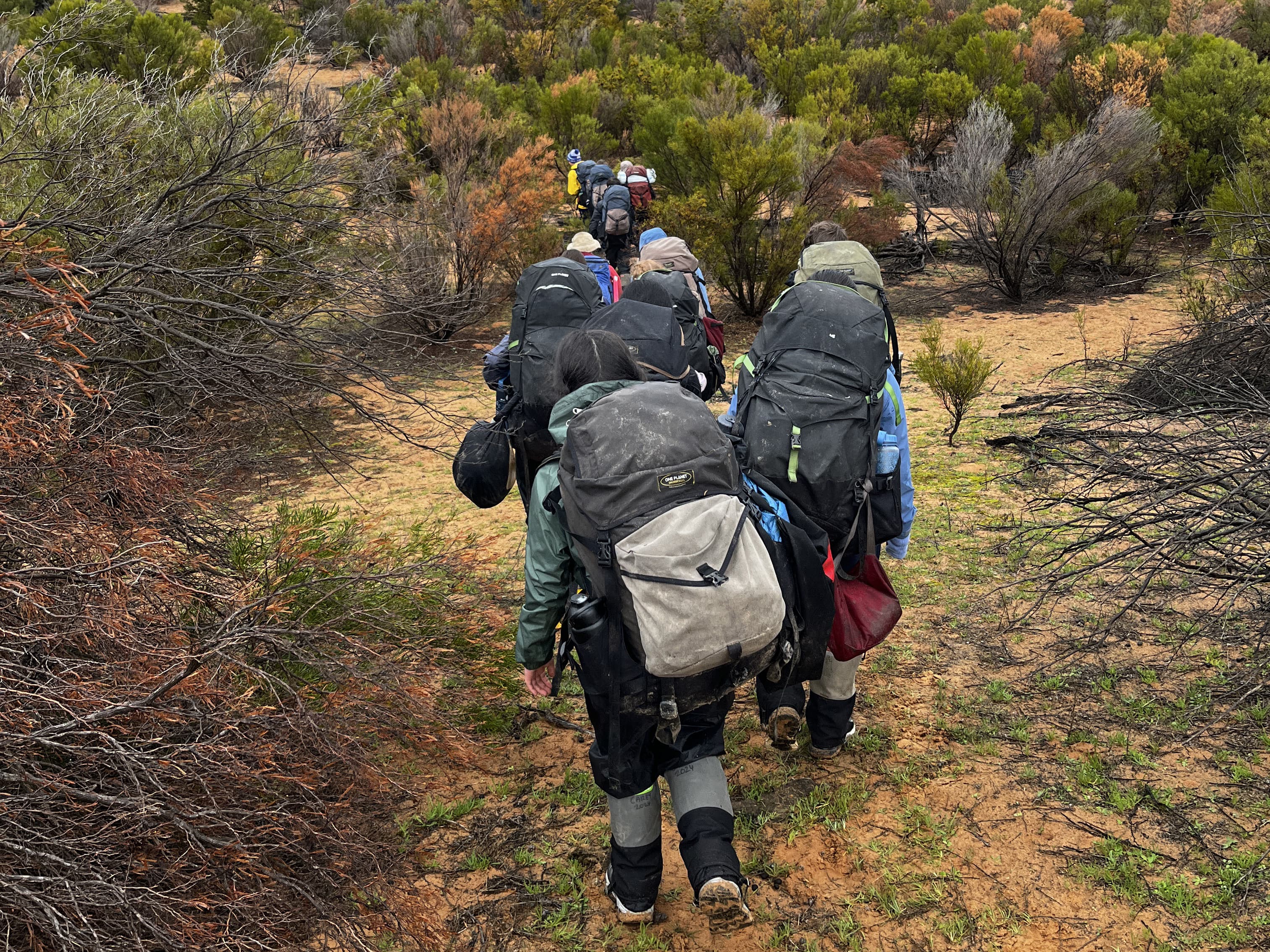 Hattah: more than just an adventure