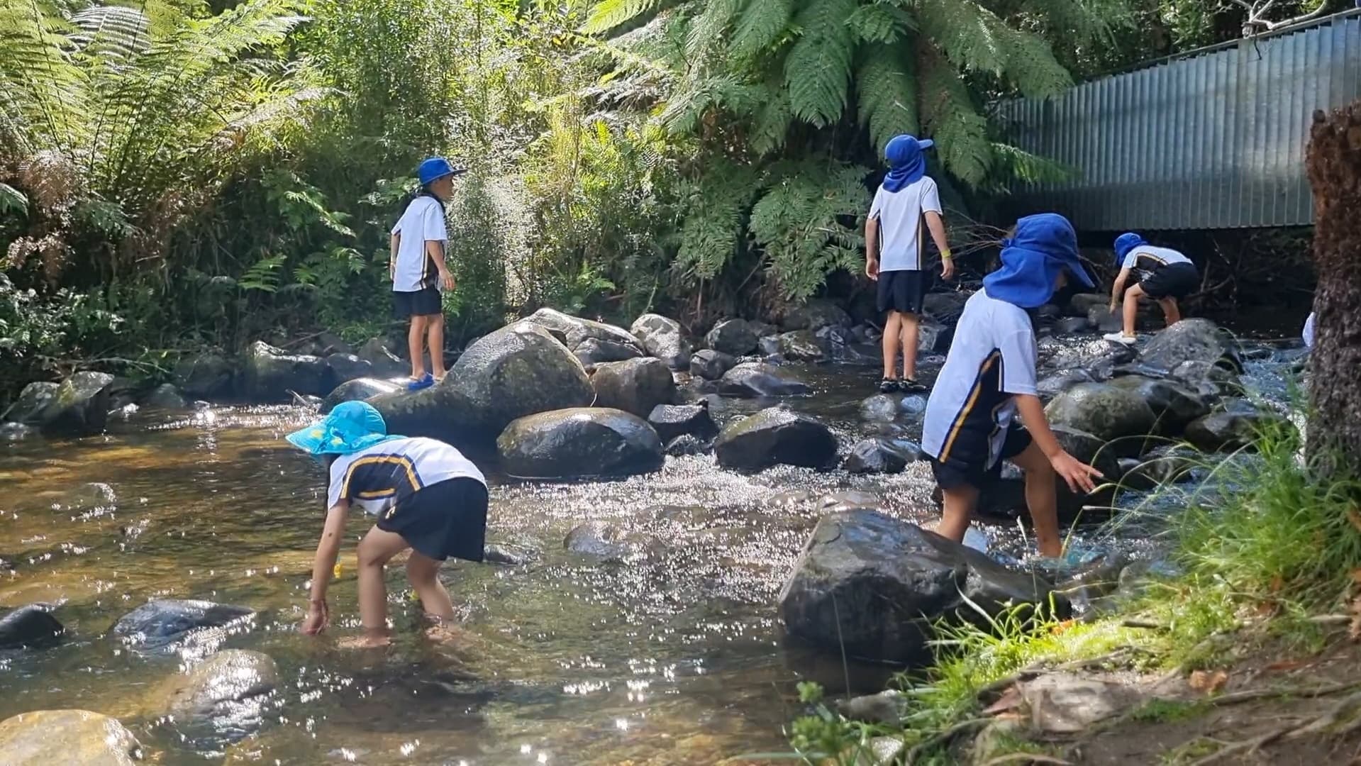 Nature at play: Year 2 learning at Badger Weir