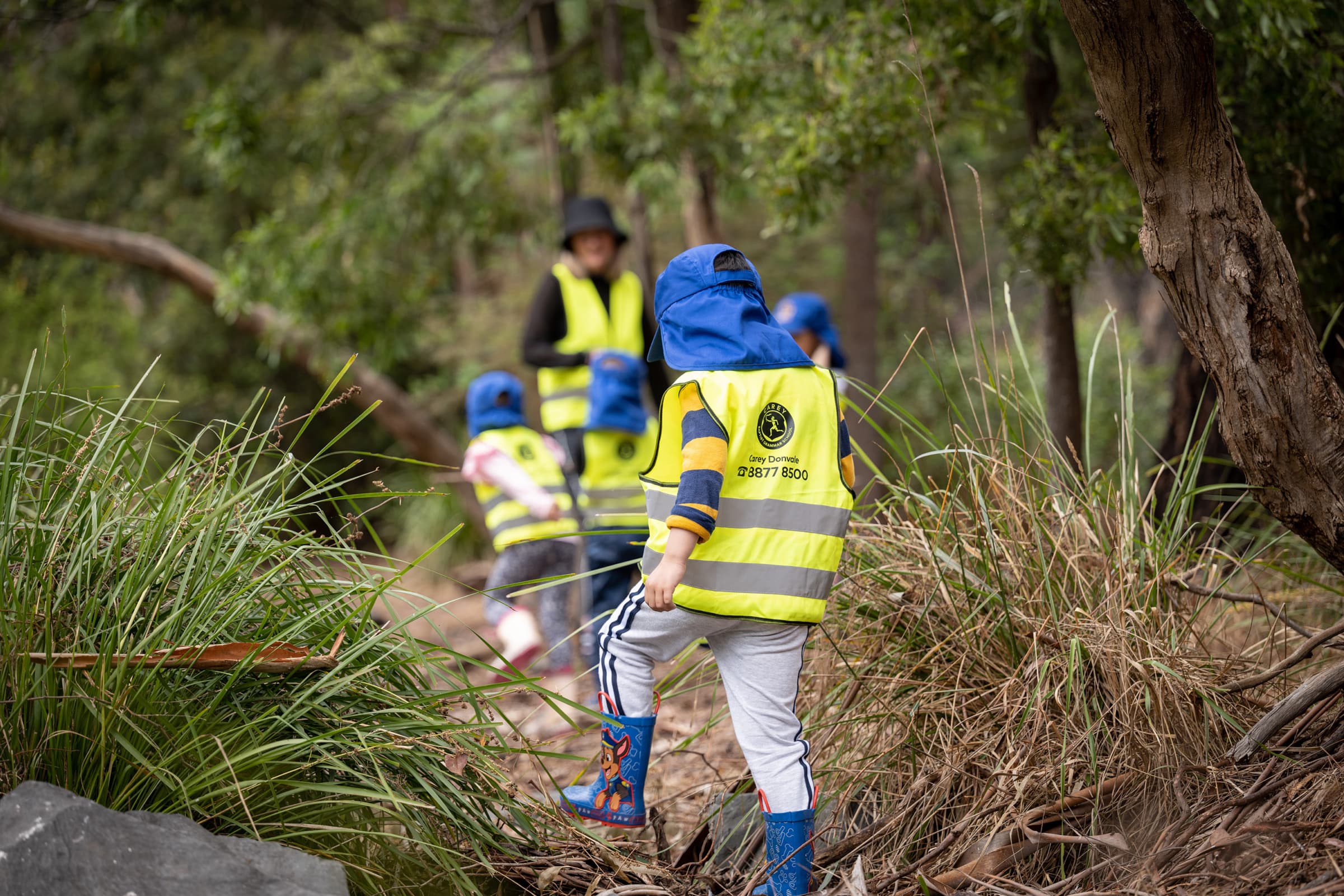 The Carey Value of Growth in Bush Kinder