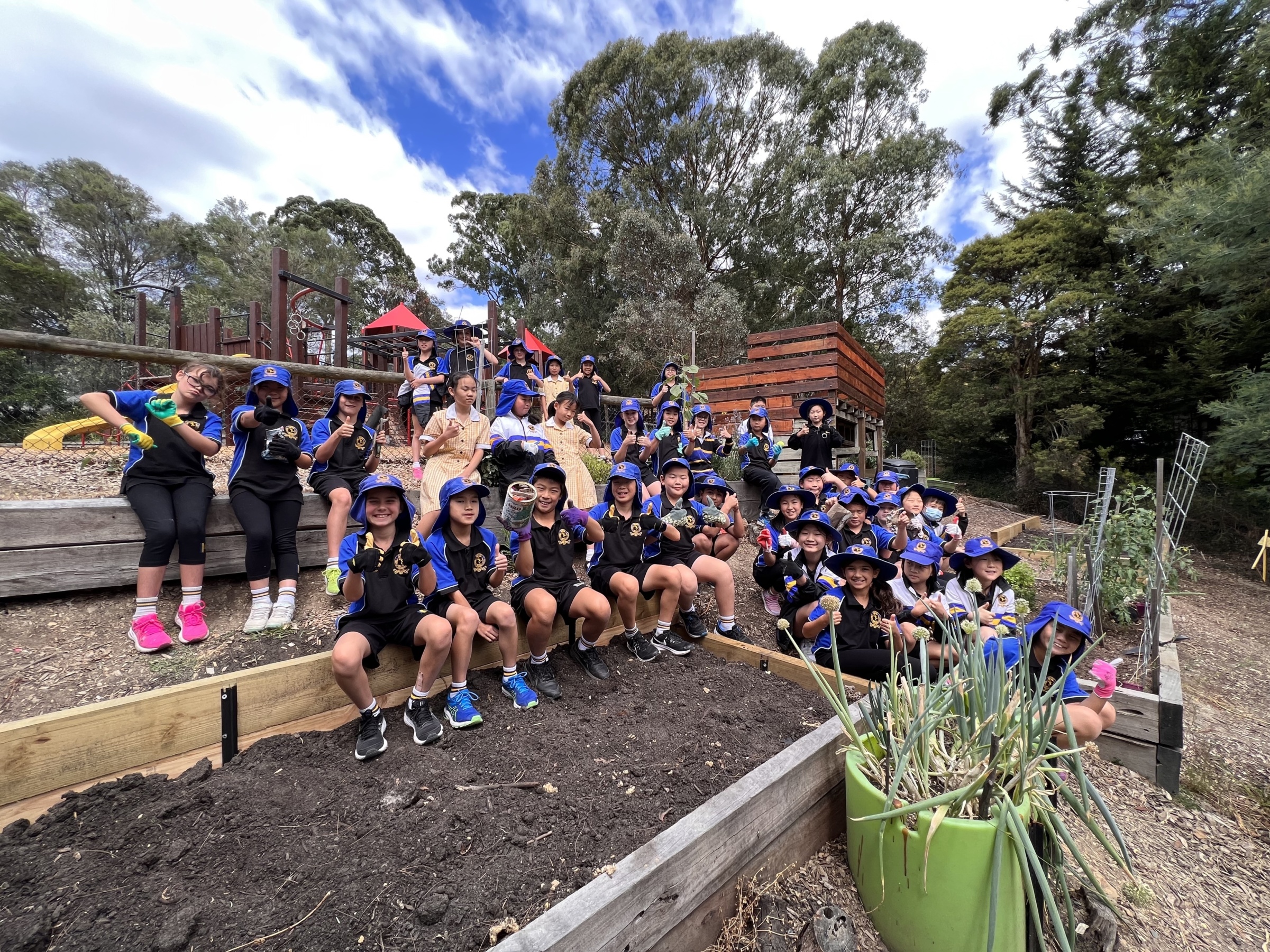 Carey’s Exciting Journey to Net Zero