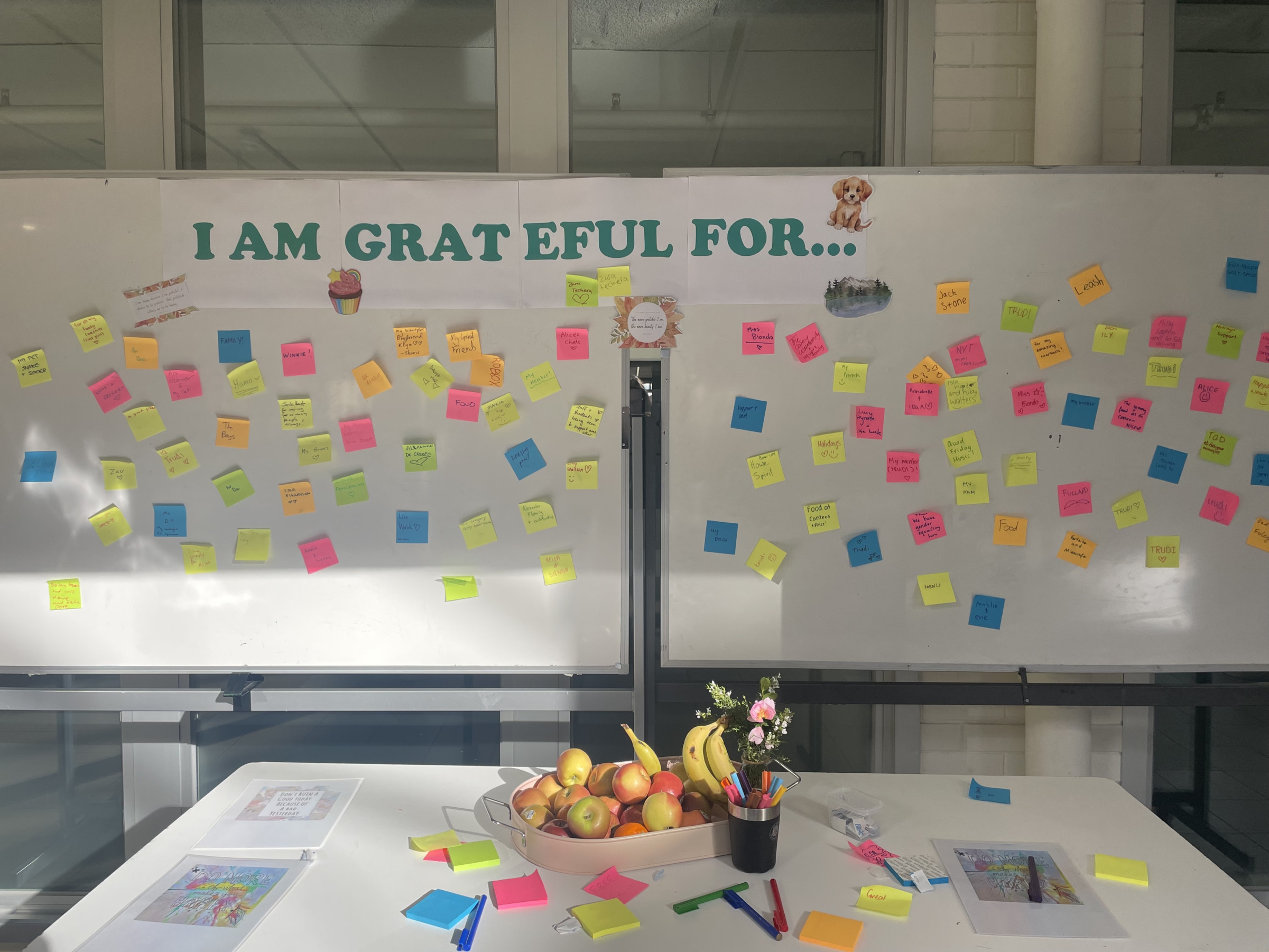 Happiness Week at Carey: embracing joy, wellbeing and social justice