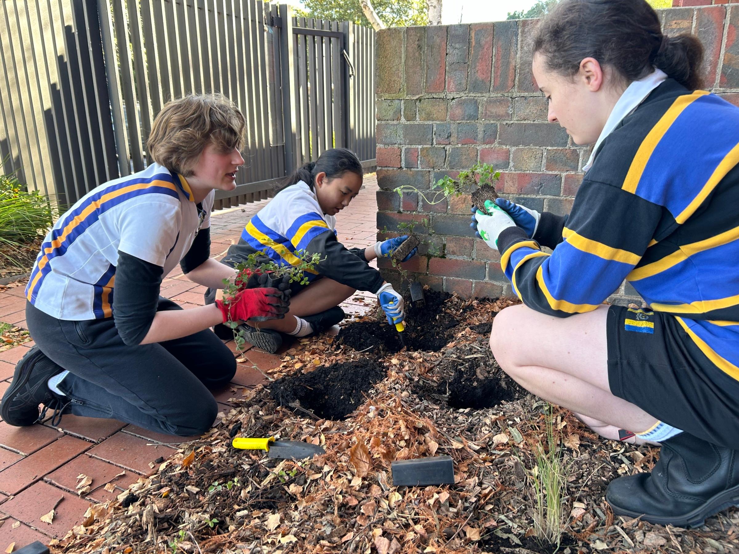 Our Eco-Warriors were busy bees during Term 2!
