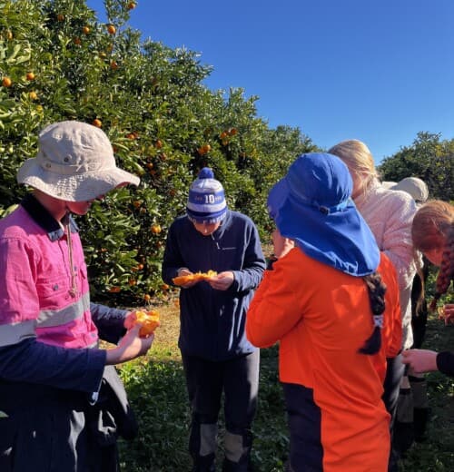 Mansell's citrus farm was a juicy highlight