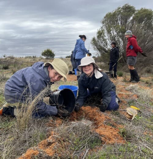 Planting native vegetation at Raakajilim
