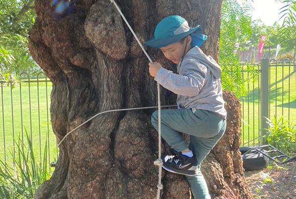 Perseverance, persistence and grit in the ELC