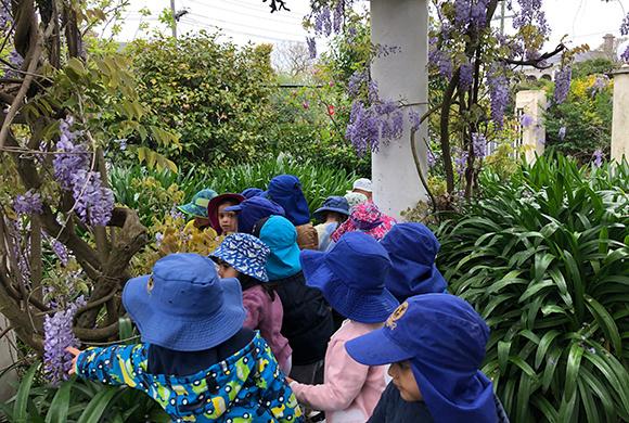 Spring is in the air and term 4 has arrived