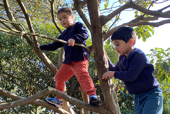 How high can you climb?