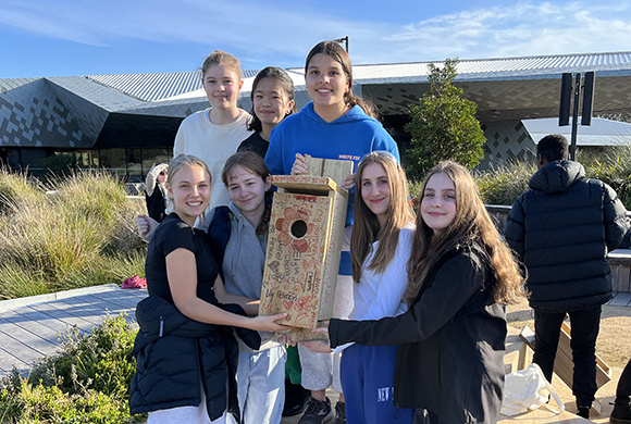 Healing the environment in Year 7