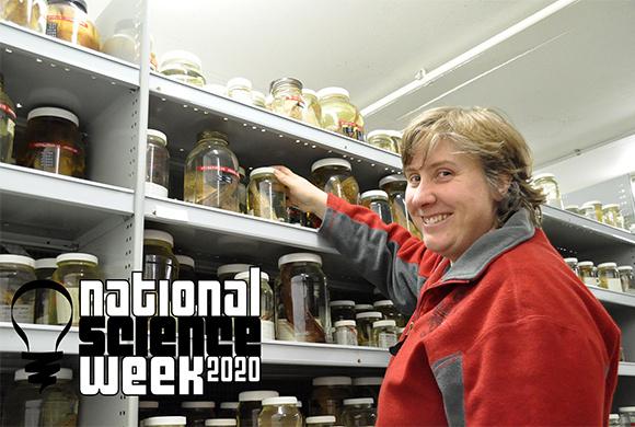 Carey at the forefront of National Science Week