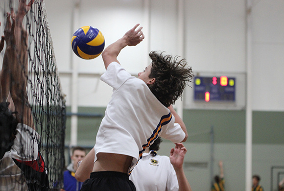 Carey sport in Term 4