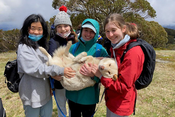 Have you ever cuddled a dingo?