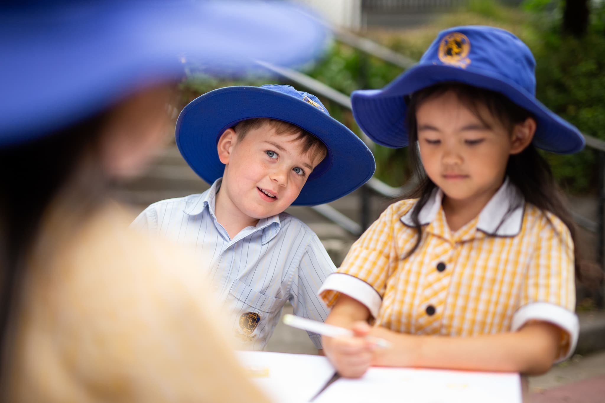 School Term Dates Carey Baptist Grammar School