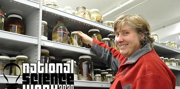 Carey at the forefront of National Science Week