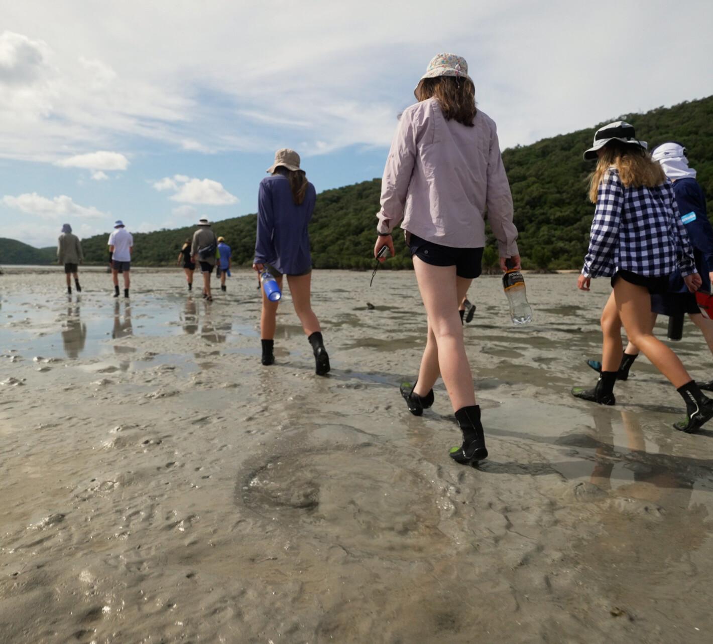 Students may have the opportunity to visit Orpheus Island